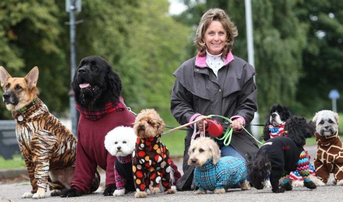 Best Fabric To Make A Dog Coat - UK Fabrics Online Blog