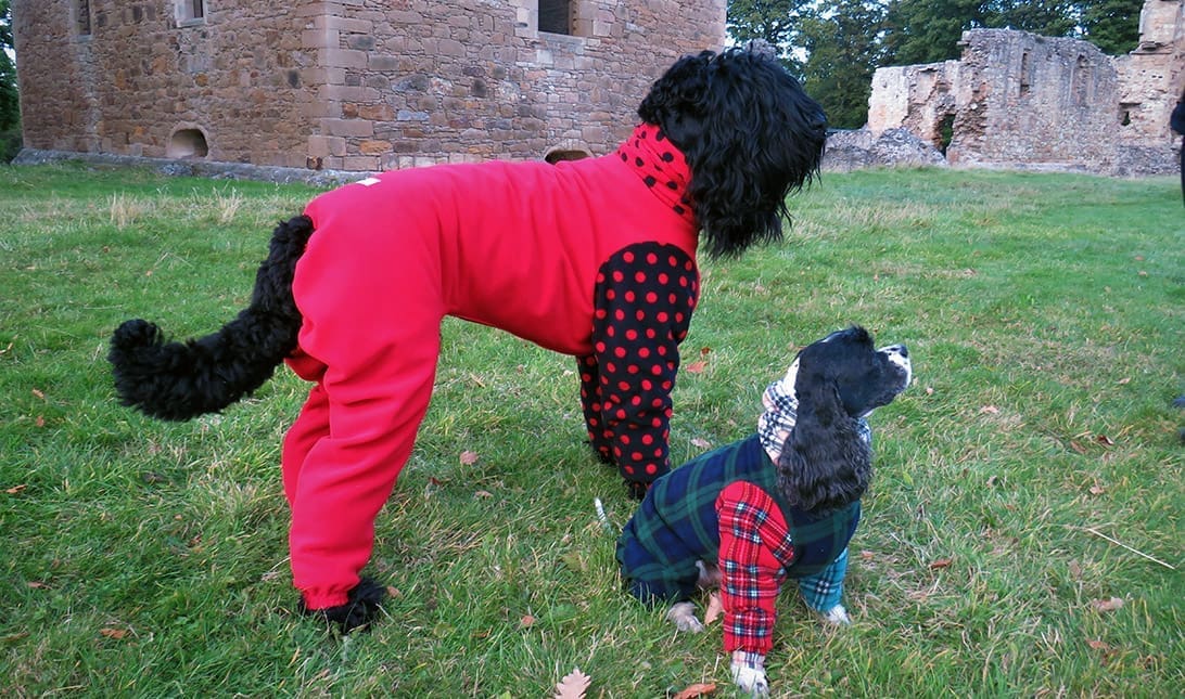 German Shepherd straw topper dog fits Stanley